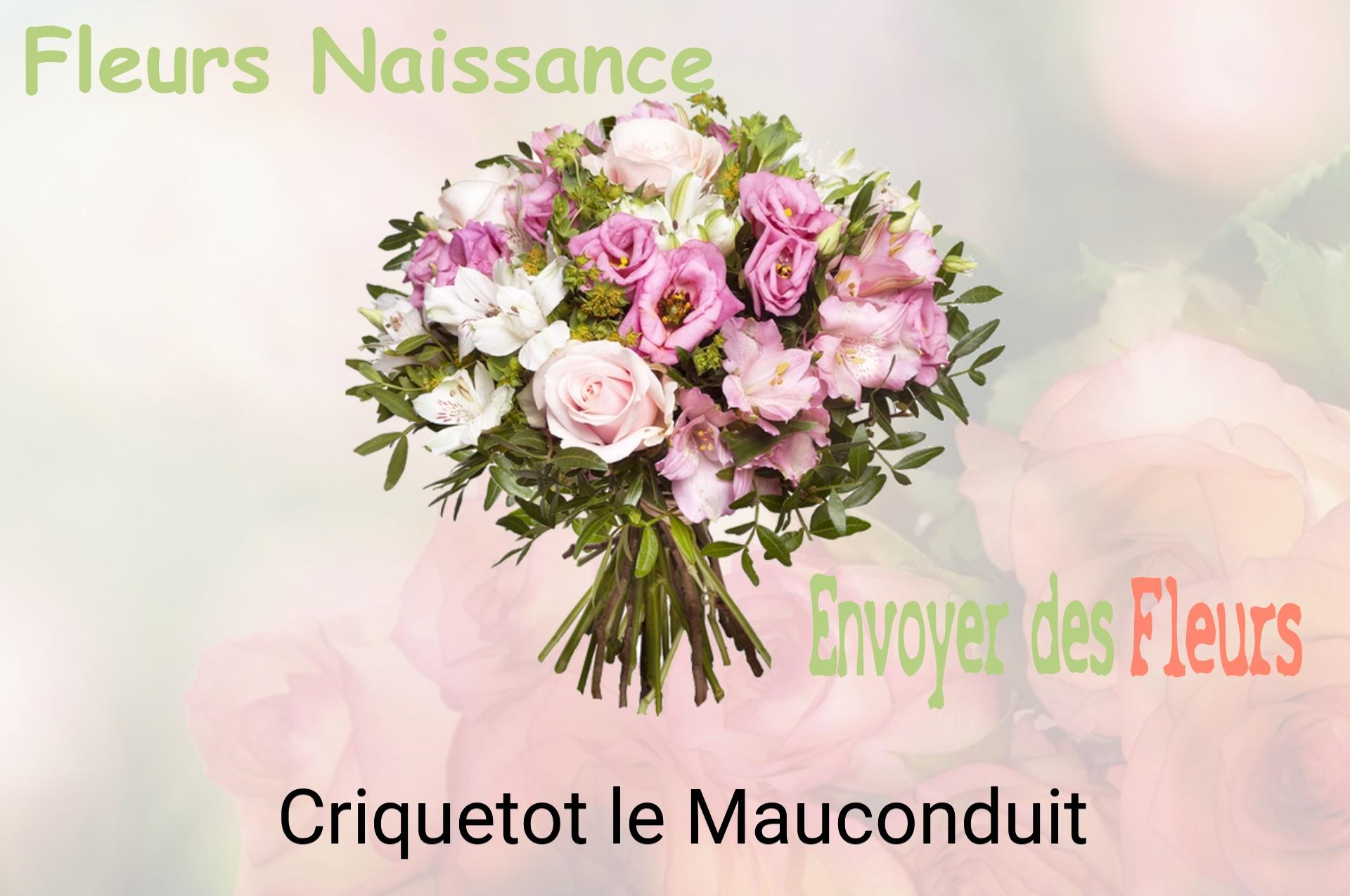 Bouquet de fleurs de naissance livré à Criquetot-le-Mauconduit