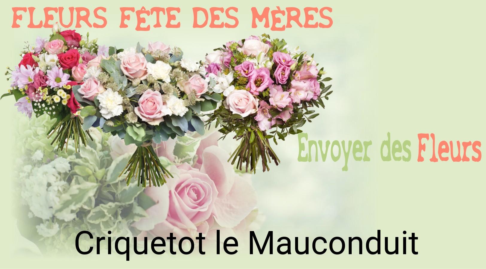 Bouquet de Fête des Mères livré à Criquetot-le-Mauconduit